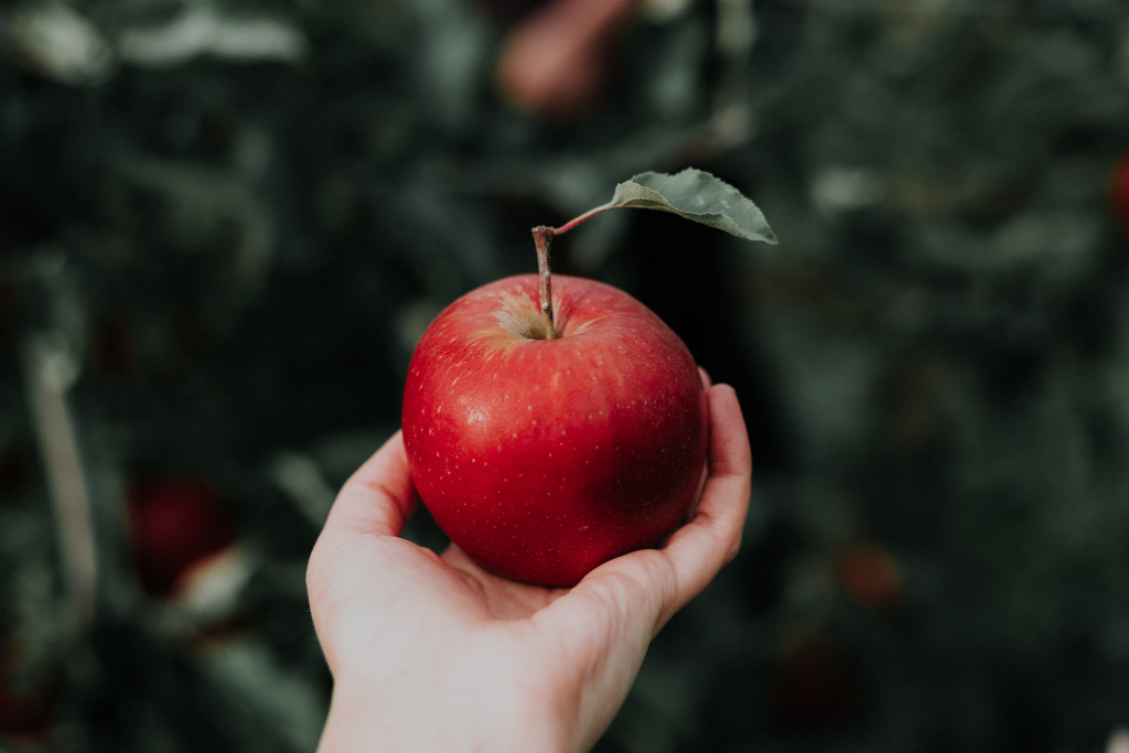 Abführmittel Hausmittel Apfel